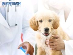 -凯瑞希宠物医院·狂犬免疫·微创·皮肤科