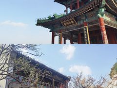 -颐和园