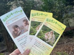 -岚山猴子公园
