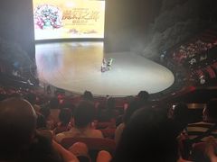 -重庆国际马戏城