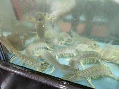-仑头海鲜城(仑头环村南路店)