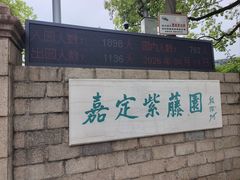 -嘉定紫藤园