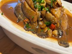 -黄山老妈·土菜(碧桂园店)