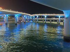 -演武大桥观景平台