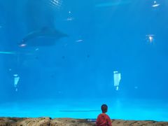 -华夏文旅海洋公园