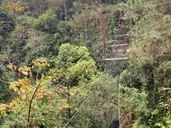 -芦仙山景区-飞越丛林探险乐园