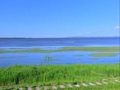 -呼兰河口湿地公园