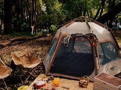 -上海共青森林公园