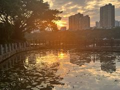 -南宁南湖公园