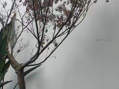 -观宴·品质赣菜(高新大道店)