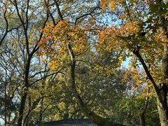 -岳麓山风景名胜区