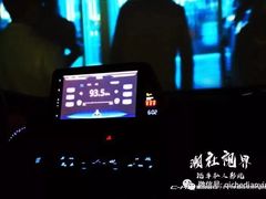 -枫花园汽车电影院(朝阳公园店)