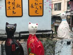 -猫咪博物馆(顶澳仔猫街店)