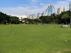 -白鹭洲公园