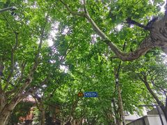 -思南书局·诗歌店