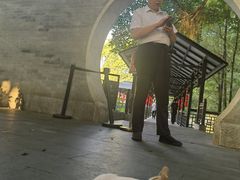 -侨美·唐荔园·40年地道粤菜