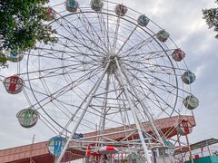 -广东花都香草世界旅游度假区