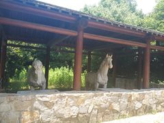-白马涧龙池景区