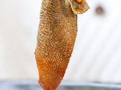 -小红碗老火锅(1958店)