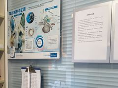 -瑞派福兴宠物医院犬猫全科·骨科·中西医结合(河东店)