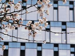 -苏州现代传媒广场商业