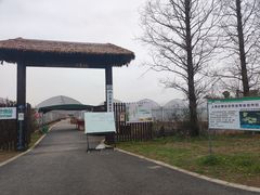 -广富林郊野公园