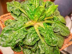 笨菠菜-巴奴毛肚火锅(悠唐购物中心店)