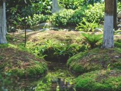 -成都市活水公园