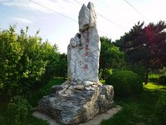 -云岗森林公园