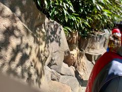 -将军关探险漂流