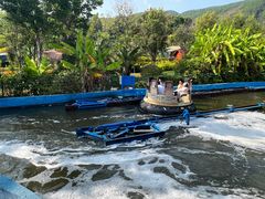 -世界恐龙谷景区