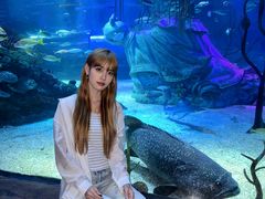 -沈阳海洋探索中心