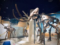 -国家自然博物馆