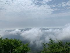 -大围山国家森林公园
