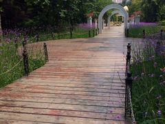 -黑龙江省森林植物园