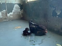 -无锡动物园·太湖欢乐园