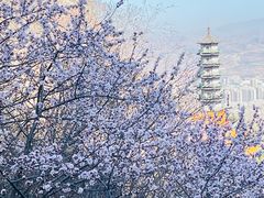 -鸡鸣山旅游风景区