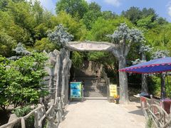 -王顺山国家森林公园