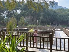-五缘湾湿地公园