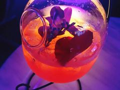 -Darling Queen·Mini·Live·House