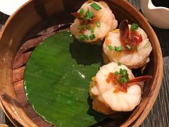-唐茶苑(Soho)