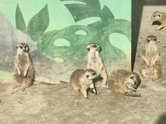 -秦皇岛野生动物园