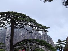 -黄山风景区