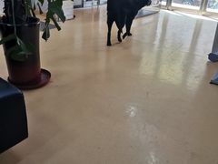 -瑞派天宁宠物医院·猫科·异宠中心