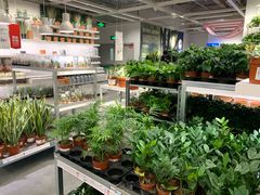 -宜家家居(哈尔滨商场店)