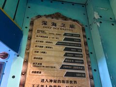 -海合安武汉极地海洋公园