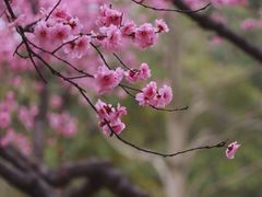 -白塘生态植物园