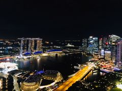 -新加坡瑞士史丹福酒店