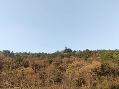 -苏州上方山国家森林公园