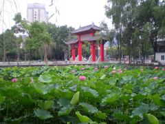 -四川大学(望江校区)